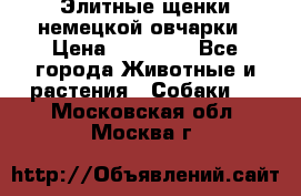 Элитные щенки немецкой овчарки › Цена ­ 30 000 - Все города Животные и растения » Собаки   . Московская обл.,Москва г.